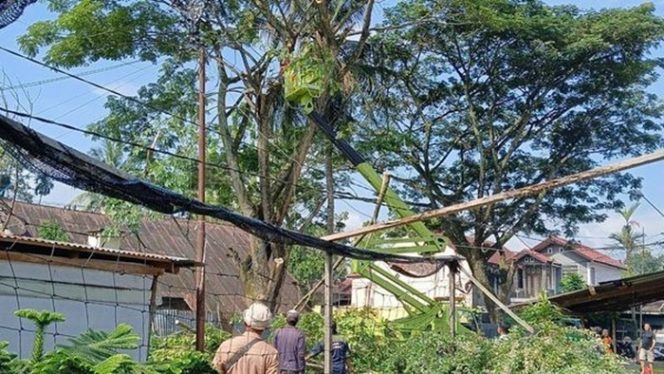 
 Antisipasi Tumbang, DLH Kota Solok Lakukan Pemangkasan Pohon di Asrama Kodim 03/09