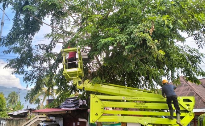 
 Membahayakan, DLH Kota Solok Lakukan Pemangkasan Pohon di Jalan Ir. Soekarno